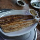 장어독립 이미지