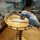 인천조류원 이미지