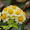 화성반월고등학교 이미지