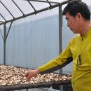 문수농장 이미지