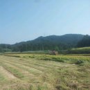 현희농장 이미지