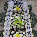 유피씨 티스토리