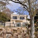 연출의 자유인 이미지