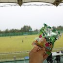 완주군 공설운동장 이미지