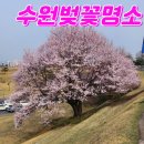 수원시 팔달구 창룡대로104번길 네이버블로그