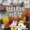테라로사 서종점… 내돈내산 후기