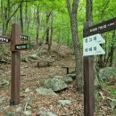 백룡농장 이미지