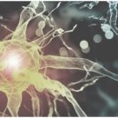 안아픈세상의원 이미지