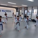 용인대 매교태권도장 이미지