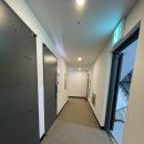 빨간모자달팽이 이미지