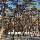 솔바다캠핑장 | 여름에는 선풍기가, 겨울에는 따끈한 전기장판이 있는 양양 솔바다 캠핑장 방갈로