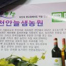 늘샘농원 이미지