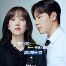 국선전담변호사사무실 이미지