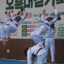 아리랑 멋 퍼니태권도장 이미지