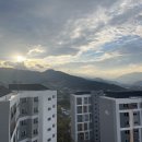 셀세모 상동점 이미지