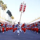 세계의 축제 · 기념일 백과 - 아와오도리[ 阿波おどり , Awa Odori ] 이미지