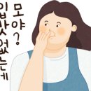 아바이 명태고추조림 이미지