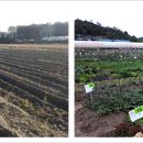 호수농장2 이미지