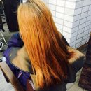 바베네헤어 이미지
