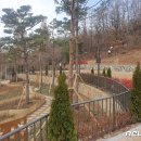 낙성대 숲속공원 이미지