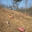 전라도농장 이미지