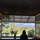 상일농장 | 중국 Yunnan 3일차, 중국 Dali 현지여행 - 다리 차이미둬 농장, 창산 중도 케이블 카 &amp; 다리 카페 추천!