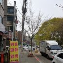 네일:솔(NAIL:SOL) 이미지