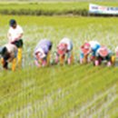 황산농협 이미지