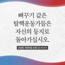 둥지정육점 이미지