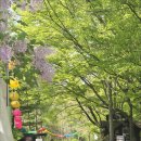 진달래약수터 | 20260425.북한산(빨래골-칼바위능선-대동문-진달래능선-백련사)