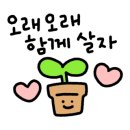 포레스테리어 이미지