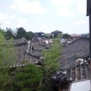 유샛별 Daum카페