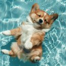 팔레드차밍리조트 이미지