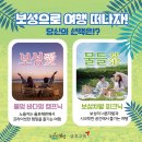 바다멍.스