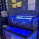 청담포차 - 대덕구 중리남로 31-1 | 덕계역 맛집ㅣ청담 한제해물포차 맛있는 후기