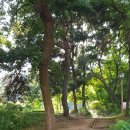 아름도담길 이미지