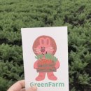 그린농장 이미지
