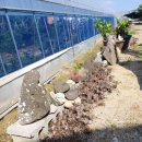 왕눈이농장 이미지