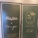 트리고삼척 이미지