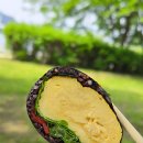 잇츠그루밍타임 서초점 | [식물원김밥] 강남 서초 다이어트 김밥 맛집, 쿠팡이츠 배달 주문 포장 내돈내산