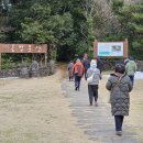 선흘 곶자왈 동백동산 숲길 _ 20240126 이미지