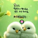 낙 은 재 이미지
