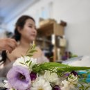 숲 갤러리(SOUP GALLERY) | 제주 웨딩사진 하다갤러리에서 로망 실현 ✨ 스튜디오·숲·노을바다 스냅