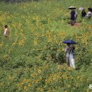 박영철농장 이미지