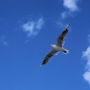 (주)효성글라스 이미지