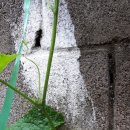 발한경로당 이미지