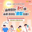 쿨팁