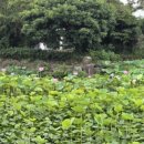 공동정호 이미지