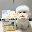블루펫 | 저렴한 강아지배변패드 블루펫패드 가격 후기 다견가정 추천
