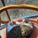 엠오바이오 | 맛좋고 가성비 좋은 전주 아이엠 티라미수 카페